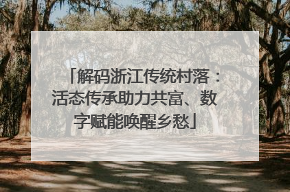 解码浙江传统村落：活态传承助力共富、数字赋能唤醒乡愁