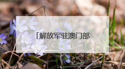 解放军驻澳门部队参加澳门特区政府无偿献血活动