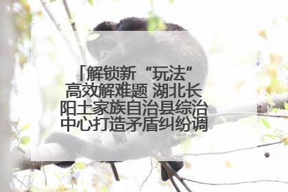解锁新“玩法” 高效解难题 湖北长阳土家族自治县综治中心打造矛盾纠纷调处“终点站”