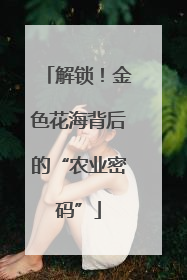解锁！金色花海背后的“农业密码”