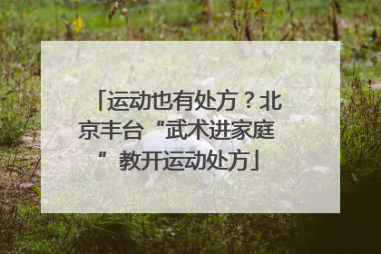 运动也有处方？北京丰台“武术进家庭”教开运动处方
