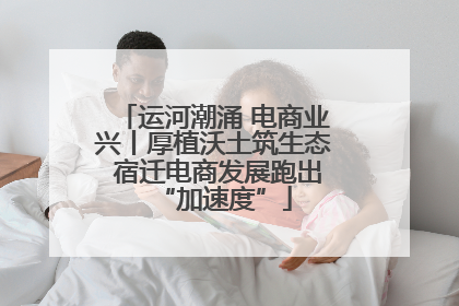 运河潮涌 电商业兴丨厚植沃土筑生态 宿迁电商发展跑出“加速度”