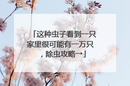 这种虫子看到一只家里很可能有一万只，除虫攻略→