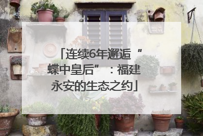 连续6年邂逅“蝶中皇后”：福建永安的生态之约