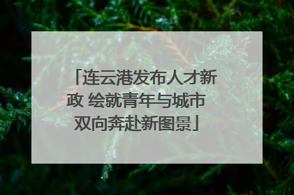 连云港发布人才新政 绘就青年与城市双向奔赴新图景