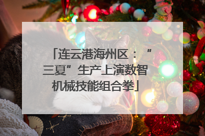 连云港海州区：“三夏”生产上演数智机械技能组合拳