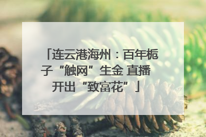 连云港海州：百年栀子“触网”生金 直播开出“致富花”