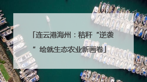 连云港海州：秸秆“逆袭”绘就生态农业新画卷