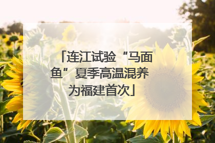 连江试验“马面鱼”夏季高温混养 为福建首次