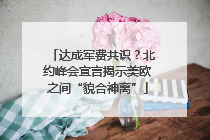 达成军费共识？北约峰会宣言揭示美欧之间“貌合神离”