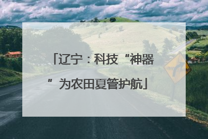 辽宁：科技“神器”为农田夏管护航