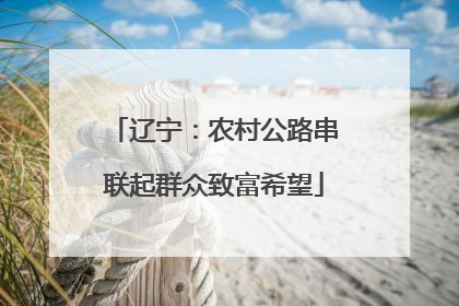 辽宁：农村公路串联起群众致富希望