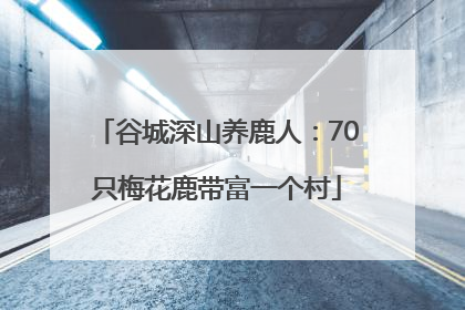 谷城深山养鹿人：70只梅花鹿带富一个村
