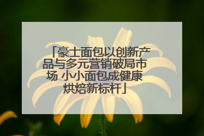 豪士面包以创新产品与多元营销破局市场 小小面包成健康烘焙新标杆