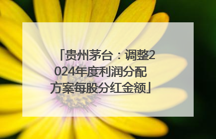 贵州茅台：调整2024年度利润分配方案每股分红金额