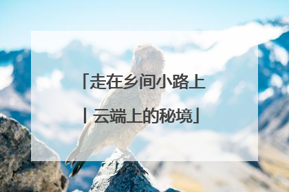 走在乡间小路上丨云端上的秘境