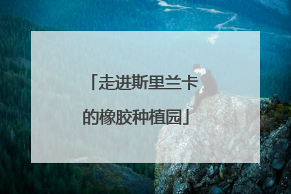 走进斯里兰卡的橡胶种植园