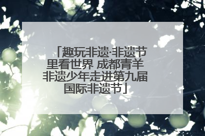 趣玩非遗·非遗节里看世界 成都青羊非遗少年走进第九届国际非遗节