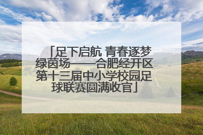 足下启航 青春逐梦绿茵场——合肥经开区第十三届中小学校园足球联赛圆满收官