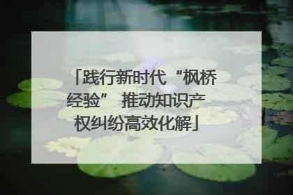 践行新时代“枫桥经验” 推动知识产权纠纷高效化解