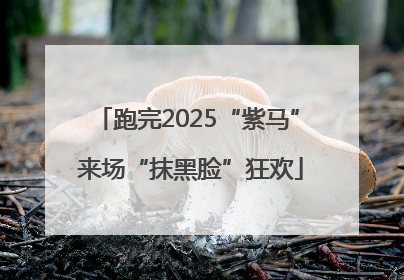 跑完2025“紫马” 来场“抹黑脸”狂欢