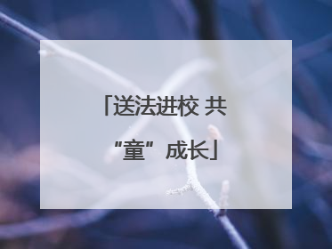 送法进校 共“童”成长