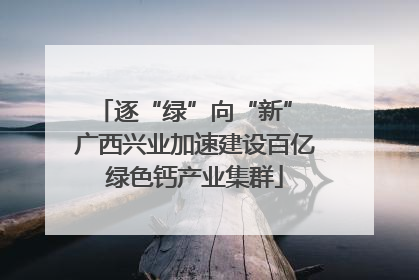 逐“绿”向“新” 广西兴业加速建设百亿绿色钙产业集群