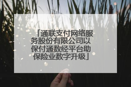 通联支付网络服务股份有限公司以保付通数经平台助保险业数字升级