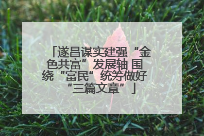 遂昌谋实建强“金色共富”发展轴 围绕“富民”统筹做好“三篇文章”