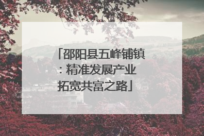 邵阳县五峰铺镇：精准发展产业 拓宽共富之路