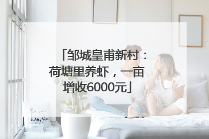 邹城皇甫新村：荷塘里养虾，一亩增收6000元