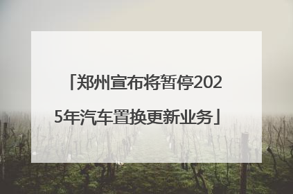郑州宣布将暂停2025年汽车置换更新业务