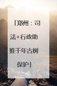 郑州：司法+行政助推千年古树保护
