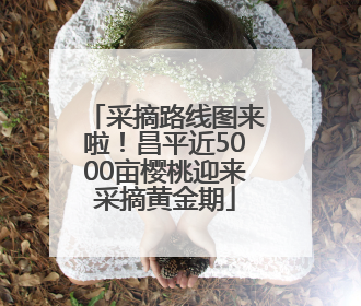 采摘路线图来啦！昌平近5000亩樱桃迎来采摘黄金期