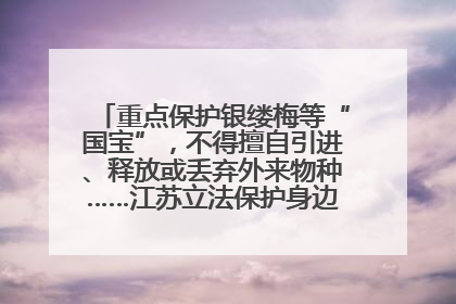 重点保护银缕梅等“国宝”，不得擅自引进、释放或丢弃外来物种……江苏立法保护身边的生物“朋友圈”