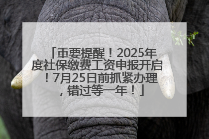 重要提醒！2025年度社保缴费工资申报开启！7月25日前抓紧办理，错过等一年！