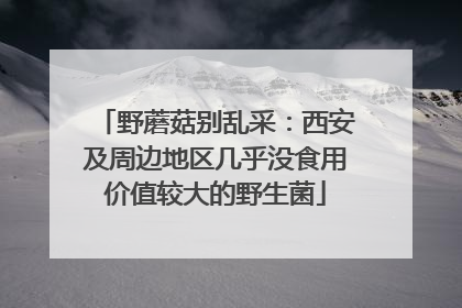 野蘑菇别乱采：西安及周边地区几乎没食用价值较大的野生菌