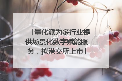 量化派为多行业提供场景化数字赋能服务，拟港交所上市
