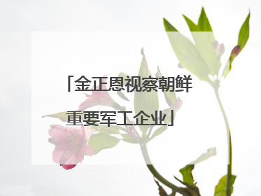 金正恩视察朝鲜重要军工企业