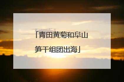 青田黄菊和阜山笋干组团出海