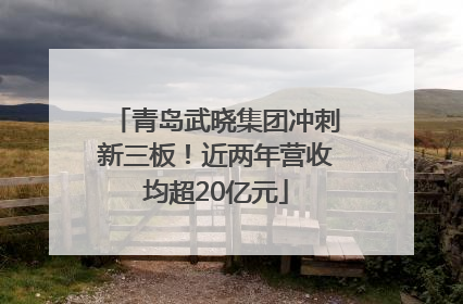 青岛武晓集团冲刺新三板！近两年营收均超20亿元