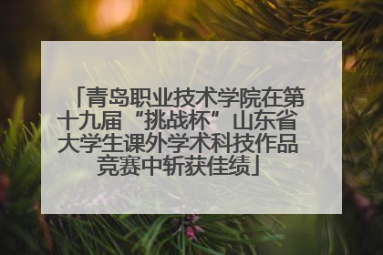 青岛职业技术学院在第十九届“挑战杯”山东省大学生课外学术科技作品竞赛中斩获佳绩