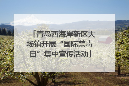 青岛西海岸新区大场镇开展“国际禁毒日”集中宣传活动