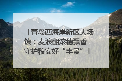 青岛西海岸新区大场镇：麦浪翻滚穗飘香 守护粮安好“丰景”