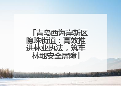 青岛西海岸新区隐珠街道：高效推进林业执法，筑牢林地安全屏障