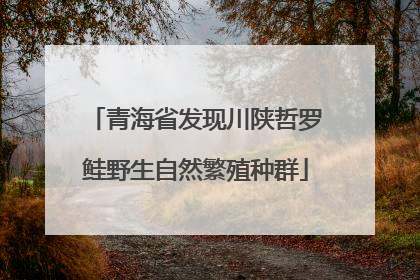 青海省发现川陕哲罗鲑野生自然繁殖种群