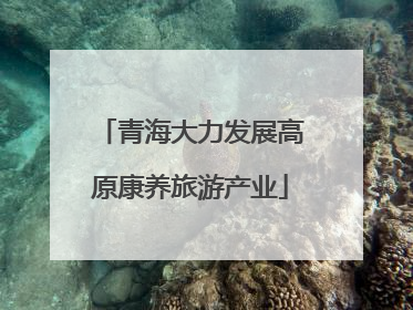 青海大力发展高原康养旅游产业