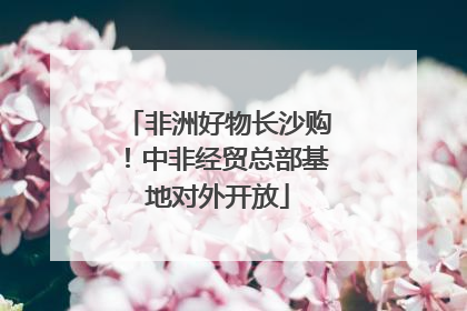 非洲好物长沙购！中非经贸总部基地对外开放