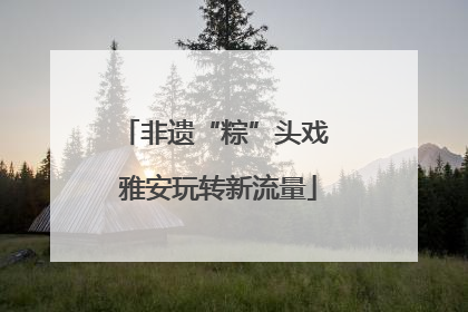 非遗“粽”头戏 雅安玩转新流量