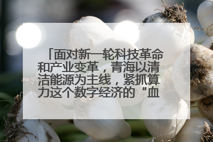 面对新一轮科技革命和产业变革，青海以清洁能源为主线，紧抓算力这个数字经济的“血液”、科技主权的“筹码”、产业升级的“杠杆”、绿色转型的“支点”，勇于撬动国家“双碳”战略、“东数西算”工程重大发展新机遇